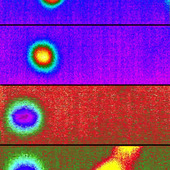 <span class=heading><b>Levitation for Inhalation Medication</b> by Rebecca Halliwell</span><br />Levitating a single droplet of the particles used in inhalation drugs
(e.g. asthma treatments) allows researchers to study and influence
important properties such as size, shape, efficiency and solubility.
Enhancing these properties could improve drug manufacturing,
benefitting the pharmaceutical industry by reducing production
costs and increasing sustainability. The improvements could
also benefit patients by increasing the potency of drugs, thereby
improving performance and potentially reducing dosage frequency.<br /><span class=small>Image: © 2015 Rebecca Halliwell</span>.  <span class=small>Collaborators: Matthew Clavey (Thermal Vision Research Ltd, matthew@thermalvisionresearch.co.uk) - Provided demo of camera to collect thermal video of droplet, Naomi Briggs who coordinated the demo of the thermal camera and Janine Capaldi who constructed the image from video</span>