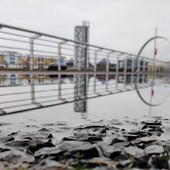 <span class=heading><b>Reflecting on Urban Stormwater</b> by Erin Corbett</span><br />Traditional urban drainage lacks resilience against the impacts of climate change and increasing urbanisation, leading to greater risk of flooding, water scarcity, and the release of harmful pollutants. Sustainable Urban Drainage Systems (SUDS) simultaneously treat contaminated stormwater and reduce its volume, protecting the aquatic environment and even creating the possibility of stormwater re-use. Our research examines how SUDS design can be optimised to provide the best possible stormwater treatment. <br /><span class=small>Image: © 2021 Erin Corbett</span>