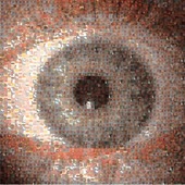 <span class=heading><b>Seeing the bigger picture</b> by Matteo Menolotto</span><br />This mosaic of the front of the eye is made from images of the back of the eye, demonstrating the vast visual field of ophthalmology and the many images required to assess eye health. As such, we created an open access Comprehensive Ophthalmic Research Database (CORD) in collaboration with NHS Forth Valley, aiming to boost the development of automatic and semi-automatic diagnostic solutions for eye health worldwide.<br /><span class=small>Image: © 2019 Matteo Menolotto</span>.  <span class=small>Collaborators: Kirsty Jordan, Iain Livingstone (NHS consultant ophthalmologist), Kenneth Gilmour (NHS trainee ophthalmologist), Ian Coghill, Mario Giardini (supervisor) </span>