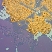 <span class=heading><b>Eradicating the purple plague</b> by James Kelly</span><br />This is a magnified image of “purple plague”, caused by high temperatures in circuit boards, where gold wires are in contact with aluminium pads. By studying how these compounds – which can cause component failure over time – are generated, we aim to prevent their formation, benefitting business and consumer, by extending the life of electronic components and devices.<br /><span class=small>Image: © 2021 James Kelly</span>