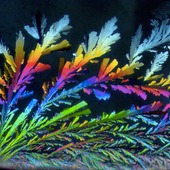 <span class=heading><b>Colours of drug polymorphism</b> by Monika Warzecha</span><br /> 
This image shows crystals of olanzapine – a drug used to treat bipolar disease, which affects more than 50 million people worldwide. During crystallization, molecules can arrange themselves in different forms. The speed at which these ‘polymorphic’ forms dissolve varies dramatically, impacting the body’s ability to absorb the drug and stabilize the patient. Our research focuses on developing robust methods to control polymorphism, ensuring the drugs can do their job effectively.
 <br /><span class=small>Image: © 2017 Monika Warzecha</span>