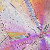 <span class=heading><b>Psychedelic recrystallisation of drugs</b> by Ecaterina Bordos</span><br />This image shows a stage in the recrystallisation of paracetamol as we attempt to devise the optimal operational window for a solvent-free manufacturing process to generate stable tablet-form medications. Strathclyde researchers are trying to understand how amorphous (non-organised state) pharmaceutical materials evolve and interact during the heating and cooling processes of manufacture. This will help to deliver medicines with enhanced performance, while reducing manufacturing costs and benefitting the environment.<br /><span class=small>Image: © 2018 Ecaterina Bordos</span>