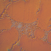 <span class=heading><b>Symbolic insights spark innovation</b> by James Kelly</span><br />It may look like an ancient cave painting but it’s actually a tiny imperfection on a fluid pump component, found during microscopic inspection. Made from Stellite superalloy – a metal compound usually prized for its corrosion and wear-resistant properties – the discovery of this feature led Strathclyde researchers to modify the component design, providing improved performance and increased lifespan for equipment vital to industry.<br /><span class=small>Image: © 2019 James Kelly</span>.  <span class=small>Collaborators: Advanced Materials Research Laboratory</span>