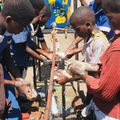 <span class=heading><b>Can you wash your hands?</b> by Kondwani Chidziwisano</span><br />Hand washing with soap is one of the most important ways to stop diarrhoea transmission, but how can we achieve this when there is no tapped water and over 1,000 children in a school? In Malawi, we are developing and testing simple engineering solutions with locally available materials to help improve group hand washing with soap at schools. Instilling this practice at a young age can help save lives.<br /><span class=small>Image: © 2019 Kondwani Chidziwisano</span>