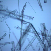 <span class=heading><b>Best of both worlds </b> by Olayinka Olalere</span><br />The crystal structure of chemical compounds in medicines is key to how well the body absorbs them and therefore how effective they are. At Strathclyde, we are studying the formation of co-crystals (pictured) – combining different compounds into a single crystal structure – with the aim of making medicines more effective. This could result in tablets with enhanced absorption and therefore greater therapeutic effect, as well as reducing manufacturing costs.<br /><span class=small>Image: © 2018 Olayinka Olalere</span>