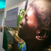 <span class=heading><b>Images of Research</b> by Guy Hinks</span><br /><p class=int>The exhibition truly captured the essence of the ’Picturing the Future’ theme for 2015.</p><span class=small>Image: © 2025 Guy Hinks 2015</span>
