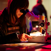 <span class=heading><b>Explorathon</b></span><br /><p class=int> </p>
<p class=int>Taking a closer look, a visitor finds out more about the microscopic organisms in seaweed that could hold the key to future medicines.</p>
<p class=int> </p><span class=small>Image: © 2015 Guy Hinks</span>