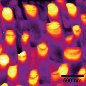 <span class=heading><b>Forest of Glowing Nanotrees</b> by Jochen Bruckbauer (Physics)</span><br /><p class=int>Incandescent light bulbs are very inefficient in transforming energy into light. Since about 20% of Earth’s total power consumption is used for lighting a new and more efficient light source has to be developed. One solution is solid-state lighting, which employs light-emitting diodes (LEDs) made from semiconducting materials. My research is focused on nanostructures based on nitride semiconductors, which are a key component for bright white LEDs. Despite their commercial availability, there are still remaining problems to be solved regarding their efficiency. My main investigation technique is cathodoluminescence (CL), where an electron beam excites the sample and the emitted light from the sample is recorded. The image shows a CL map, where each pixel corresponds to the intensity of the emitted light excited by the electron beam. This technique enables us to understand the origin and optical properties of nanostructures, which lie at the heart of future highly efficient white light sources.</p><span class=small>Image: © 2012 Jochen Bruckbauer</span>.  <span class=small>Paul R. Edwards, Jie Bai, Tao Wang, Robert W. Martin</span>