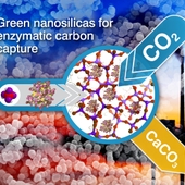 <span class=heading><b>Green Nanomaterials for Carbon Capture</b> by Claire Forsyth (Chemical & Process Engineering)</span><br />This image presents an overview of a novel carbon capture process that has been developed in Chemical and Process Engineering. The research makes use of silica that was produced using an environmentally friendly method, to support an enzyme (biological catalyst). The enzyme can efficiently remove CO<sub>2</sub> from the atmosphere by converting it to a solid form (limestone) that can readily be stored or used in a range of applications. The work demonstrates significantly improved carbon capture efficiency and could help assist the world’s current challenge of protecting the environment by reducing emissions of greenhouse gases such as CO<sub>2</sub>. <br /><span class=small>Image: © 2013 Siddharth Patwardhan</span>.  <span class=small>Research by Claire Forsyth from Chemical & Process Engineering in collaboration with Thomas Yip and Siddharth Patwardhan</span>