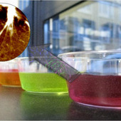 <span class=heading><b>The Science of Jelly</b> by Joy Leckie (Chemical & Process Engineering)</span><br />Natural gel-like materials are important in many industries, ranging from food, cosmetic and health applications. The most obvious example of a natural gel is jelly. The properties of jelly arise from dense fibrous networks of complex proteins which trap the surrounding water. The inside of the cell is another natural gel-like material with similar protein fibre networks. We have developed a range of simple gels, inspired by biological gels using much simpler molecules. The simple molecules interact to form fibrous gels, by a process called self-assembly. The biomimetic gels can help towards understanding natural self-assembling systems for future research. <br /><span class=small>Image: © 2013 Joy Leckie</span>.  <span class=small>Research by Joy Leckie from Chemical & Process Engineering in collaboration with Mark Haw and Rein Ulijn</span>