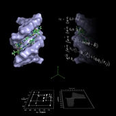 <span class=heading><b>DNA cipher</b> by Nahoum Anthony (Strathclyde Institute of Pharmacy & Biomedical Sciences)</span><br />By using various analytical techniques, we have gained a better understanding of how some drugs (rendered in stick model) can interact with DNA (rendered as the blue surface). This knowledge was applied in an effort to develop new antibiotics. These antibiotics are entering clinical trials against MRSA. <br /><span class=small>Image: © 2013 Nahoum Anthony</span>.  <span class=small>Research by Nahoum Anthony from Strathclyde Institute of Pharmacy & Biomedical Sciences</span>