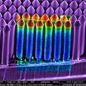 <span class=heading><b>Nano-pencils to light our world</b> by Paul Edwards (Physics)</span><br />Light-emitting diodes (LEDs) will reduce global energy demand for lighting applications, but can be made more efficient when shaped into nano-scale structures. Here is an electron microscope image of a gallium nitride LED in which pencil-shaped columns have been formed. The centre shows the light emitted when electrons hit the device - a phenomenon called cathodoluminescence. The colours show the brightness of different peaks in the spectrum of this luminescence: regions emitting blue, violet and ultra-violet light are displayed in red, green and blue respectively. The information yielded by such measurements is essential in optimising the complex fabrication processes behind such devices.<br /><span class=small>Image: © 2013 Paul Edwards</span>.  <span class=small>Research by Paul Edwards from Physics in collaboration with Robert Martin (Physics), and with Philip Shields and co-workers from the University of Bath</span>